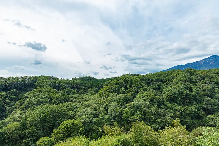 八ヶ岳高原大橋から見た景色のフリー写真素材