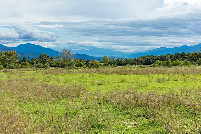 清里の草原のフリー写真素材