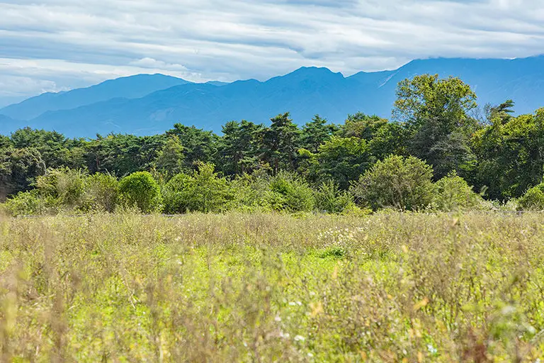 清里の草原のフリー写真素材