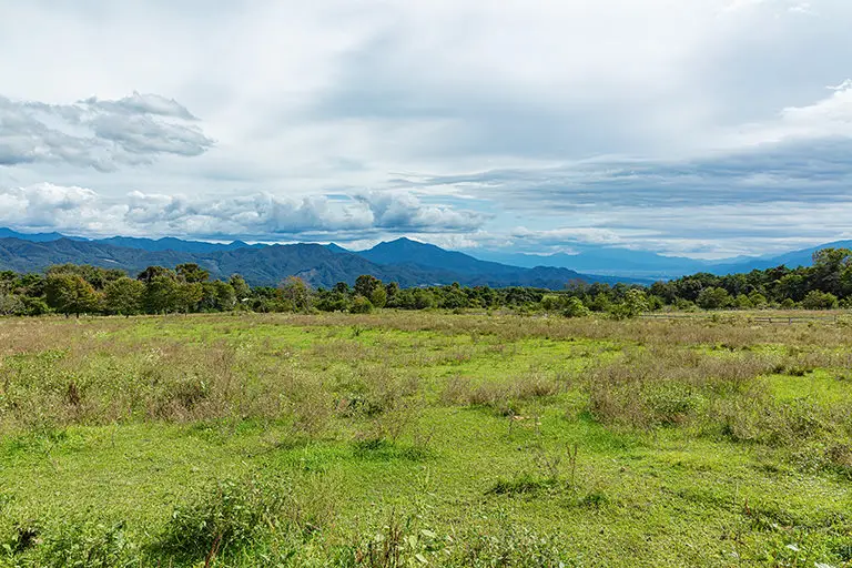 清里の草原のフリー写真素材