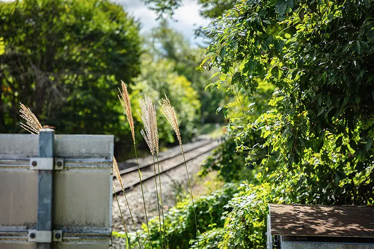 清里の線路のフリー写真素材