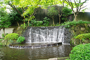 上野公園のフリー写真素材
