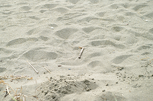 砂浜のフリー写真素材