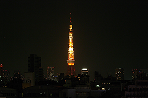 東京タワーと東京夜景のフリー写真素材