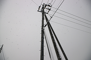 雪と電信柱のフリー写真素材