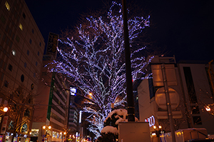 イルミネーション(札幌大通)のフリー写真素材