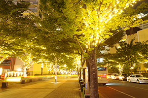 神戸ハーバーランドの夜景のフリー写真素材
