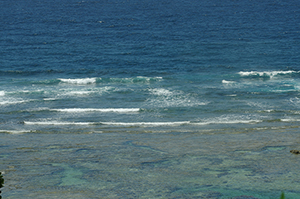 沖縄の海のフリー写真素材
