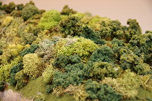 森の模型のフリー写真素材