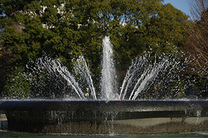 日比谷公園の噴水のフリー写真素材