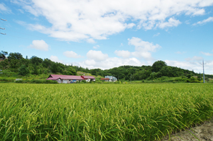 北海道当別の自然のフリー写真素材