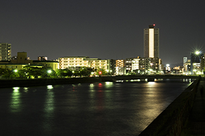 福岡中央区の夜景のフリー写真素材