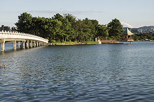 福岡大濠公園の池のフリー写真素材