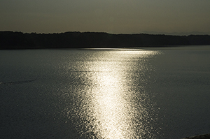 多摩湖（村山貯水池）のフリー写真素材