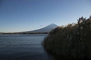 河口湖からみた富士山のフリー写真素材