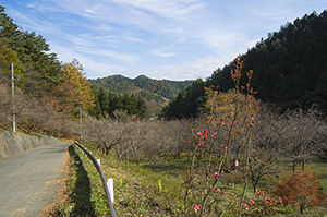 三ツ峠の風景のフリー写真素材