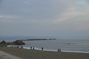 桂浜のフリー写真素材