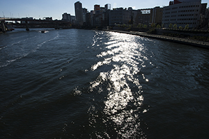 両国橋から見る隅田川のフリー写真素材