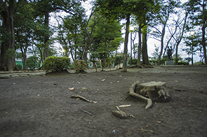 西日暮里公園（道灌山）のフリー写真素材