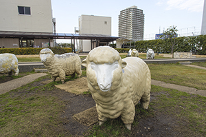 羊の乗り物のフリー写真素材