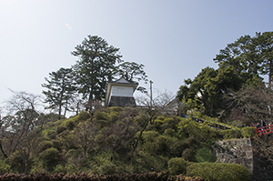 小田原城の自然のフリー写真素材