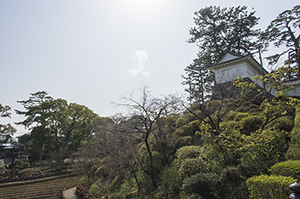 小田原城の自然のフリー写真素材