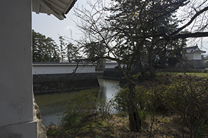 小田原城の内堀のフリー写真素材