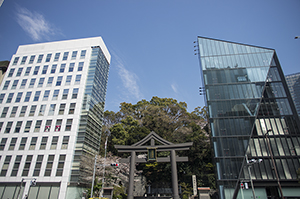 日枝神社のフリー写真素材