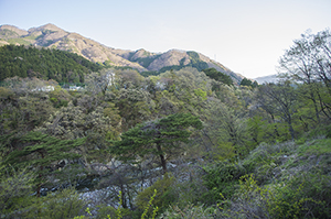 鬼怒川の自然のフリー写真素材