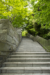 公園の階段のフリー写真素材