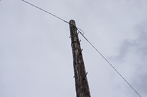 古電柱（木柱）のフリー写真素材