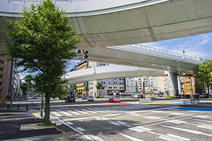 名古屋丸の内付近伏見通りのフリー写真素材