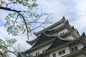 名古屋城のフリー写真素材