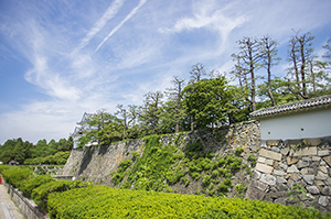 名古屋城の石垣のフリー写真素材