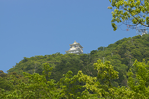 金華山と岐阜城のフリー写真素材