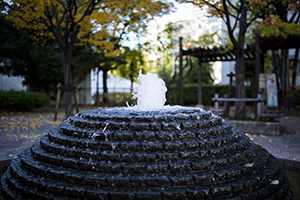 赤坂氷川公園の噴水のフリー写真素材