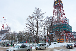 冬の大通公園のフリー写真素材