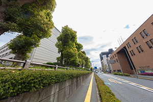埼玉県庁付近 中山道のフリー写真素材