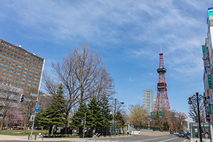 札幌大通公園のフリー写真素材