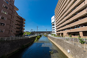 町田市 境川ゆっくりロードのフリー写真素材
