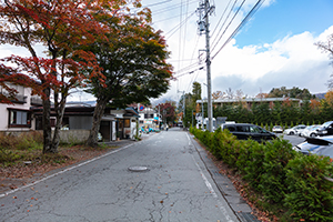 旧軽井沢のフリー写真素材