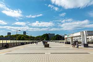 上野駅周辺 パンダ橋のフリー写真素材