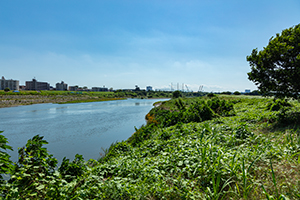 多摩川のフリー写真素材