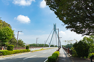前橋 平成大橋のフリー写真素材