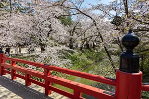 春に使えそうな写真特集